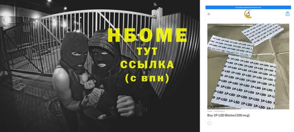 гашик Зеленокумск