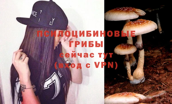 гашик Зеленокумск