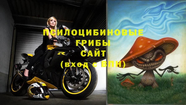 молекула духа Иннополис