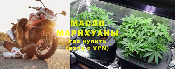 индика Зерноград