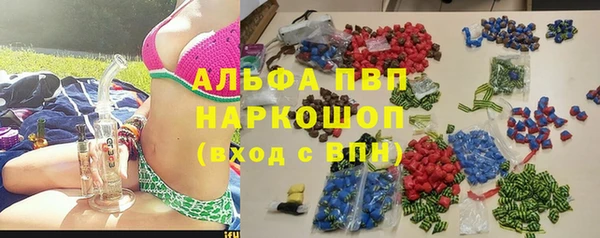 гашик Зеленокумск