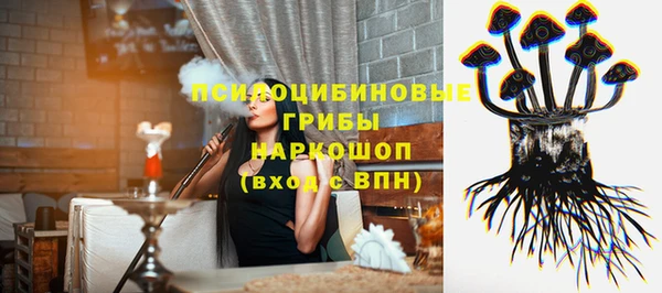 мдпв Инта