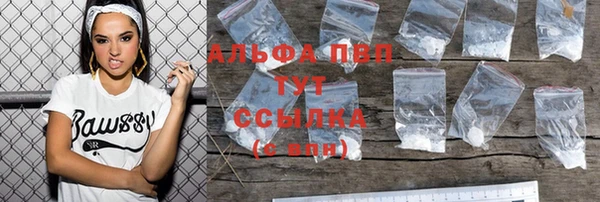 индика Зерноград