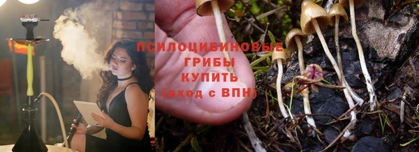 гашик Зеленокумск