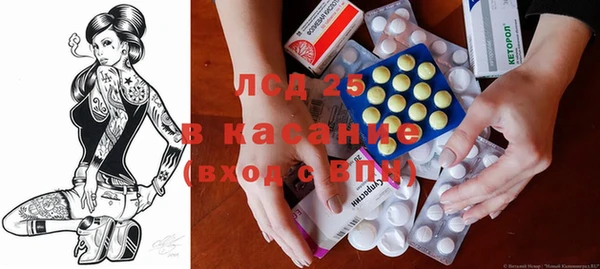 индика Зерноград
