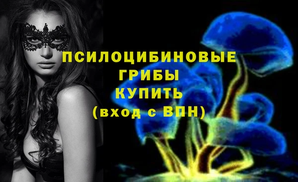 индика Зерноград